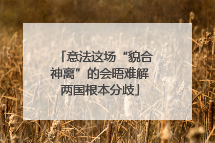 意法这场“貌合神离”的会晤难解两国根本分歧