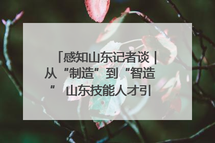 感知山东记者谈｜从“制造”到“智造” 山东技能人才引领产业升级