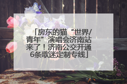 房东的猫“世界/青年”演唱会济南站来了！济南公交开通6条歌迷定制专线