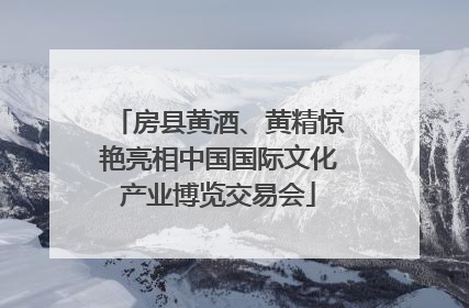 房县黄酒、黄精惊艳亮相中国国际文化产业博览交易会