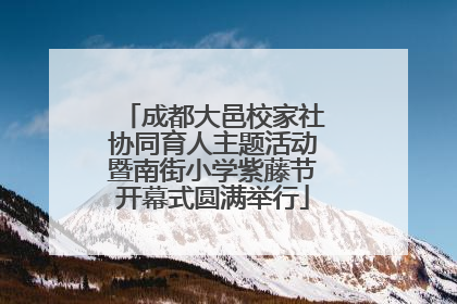 成都大邑校家社协同育人主题活动暨南街小学紫藤节开幕式圆满举行