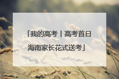 我的高考丨高考首日 海南家长花式送考