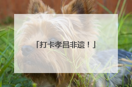 打卡孝昌非遗！