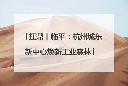 扛鼎丨临平：杭州城东新中心焕新工业森林