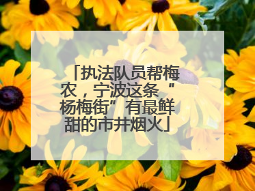 执法队员帮梅农，宁波这条“杨梅街”有最鲜甜的市井烟火