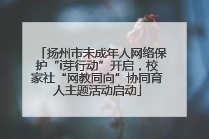 扬州市未成年人网络保护“i芽行动”开启，校家社“网教同向”协同育人主题活动启动