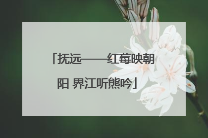抚远——红莓映朝阳 界江听熊吟
