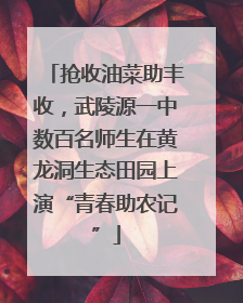 抢收油菜助丰收，武陵源一中数百名师生在黄龙洞生态田园上演“青春助农记”