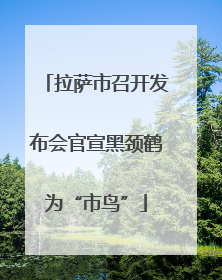 拉萨市召开发布会官宣黑颈鹤为“市鸟”
