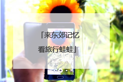 来东郊记忆 看旅行蛙蛙