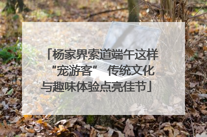 杨家界索道端午这样“宠游客” 传统文化与趣味体验点亮佳节