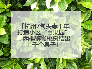杭州7旬夫妻十年打造小区“百果园”，两棵猕猴桃树结出上千个果子
