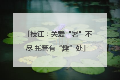 枝江：关爱“暑”不尽 托管有“趣”处