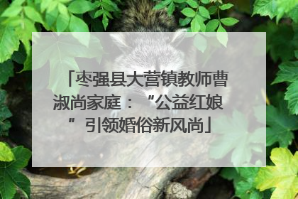 枣强县大营镇教师曹淑尚家庭：“公益红娘”引领婚俗新风尚