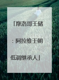 摩洛哥王储：阿拉维王朝低调继承人