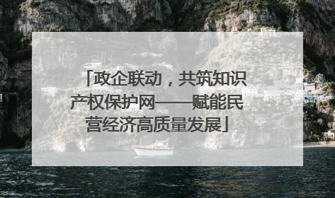 政企联动，共筑知识产权保护网——赋能民营经济高质量发展