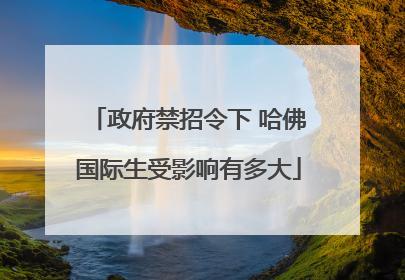 政府禁招令下 哈佛国际生受影响有多大