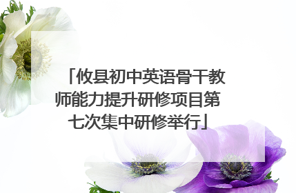 攸县初中英语骨干教师能力提升研修项目第七次集中研修举行