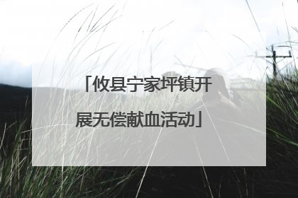 攸县宁家坪镇开展无偿献血活动