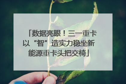 数据亮眼！三一重卡以“智”造实力稳坐新能源重卡头把交椅