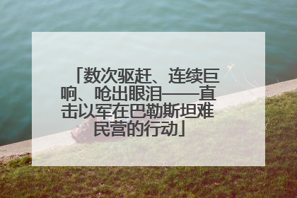 数次驱赶、连续巨响、呛出眼泪——直击以军在巴勒斯坦难民营的行动