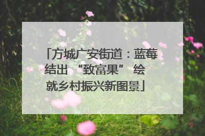 方城广安街道：蓝莓结出 “致富果” 绘就乡村振兴新图景