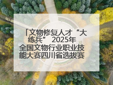 文物修复人才“大练兵” 2025年全国文物行业职业技能大赛四川省选拔赛即将启幕