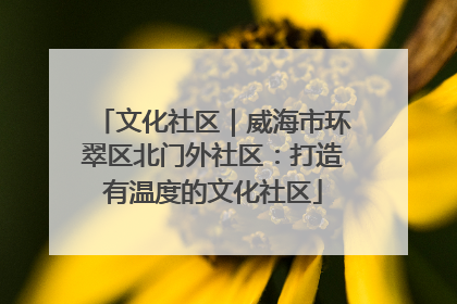 文化社区｜威海市环翠区北门外社区：打造有温度的文化社区
