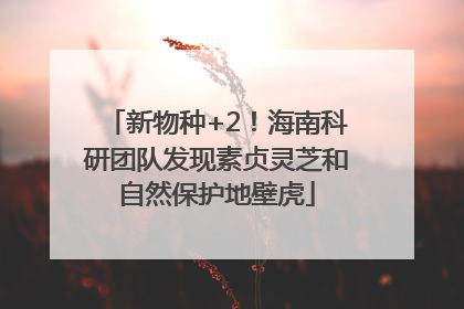 新物种+2！海南科研团队发现素贞灵芝和自然保护地壁虎