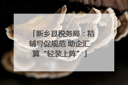 新乡县税务局：精辅导促规范 助企汇算“轻装上阵”