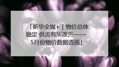 新华全媒+｜物价总体稳定 供需有所改善——5月份物价数据透视