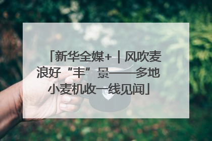新华全媒+｜风吹麦浪好“丰”景——多地小麦机收一线见闻