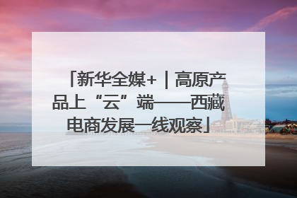 新华全媒+｜高原产品上“云”端——西藏电商发展一线观察