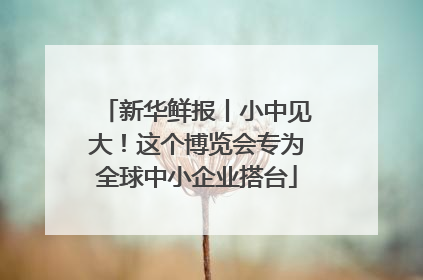 新华鲜报丨小中见大！这个博览会专为全球中小企业搭台