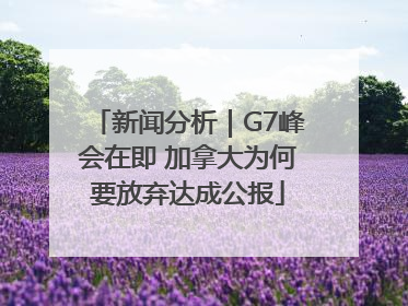 新闻分析｜G7峰会在即 加拿大为何要放弃达成公报