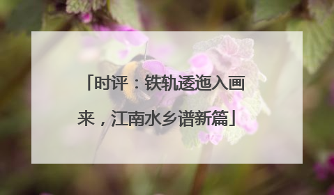 时评：铁轨逶迤入画来，江南水乡谱新篇
