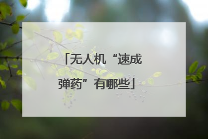 无人机“速成弹药”有哪些