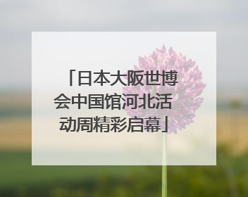 日本大阪世博会中国馆河北活动周精彩启幕