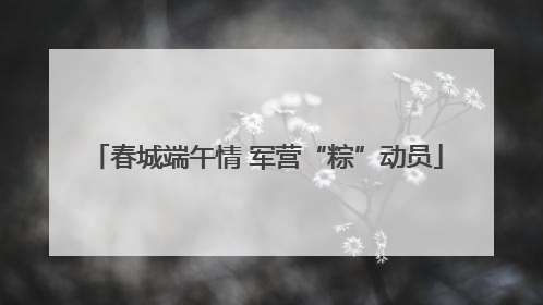 春城端午情 军营“粽”动员