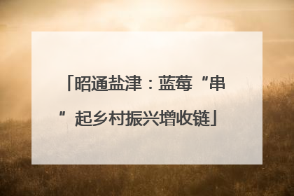 昭通盐津：蓝莓“串”起乡村振兴增收链