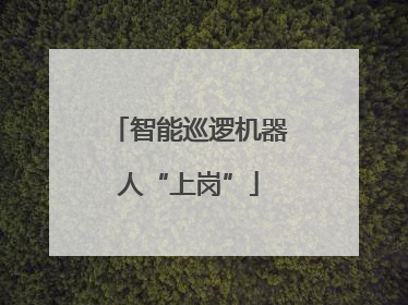 智能巡逻机器人“上岗”