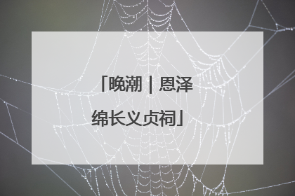 晚潮｜恩泽绵长义贞祠