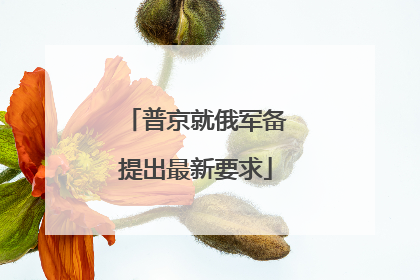 普京就俄军备提出最新要求