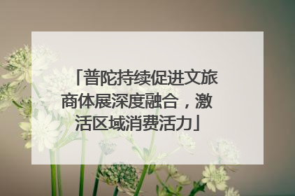 普陀持续促进文旅商体展深度融合，激活区域消费活力