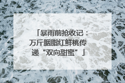 暴雨前抢收记：万斤胭脂红鲜桃传递“双向甜蜜”