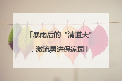 暴雨后的“清道夫”，激流勇进保家园