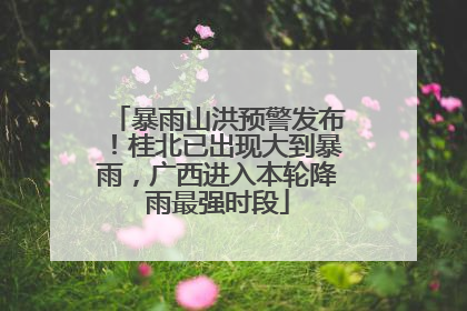 暴雨山洪预警发布！桂北已出现大到暴雨，广西进入本轮降雨最强时段