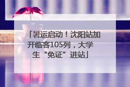 暑运启动！沈阳站加开临客105列，大学生“免证”进站