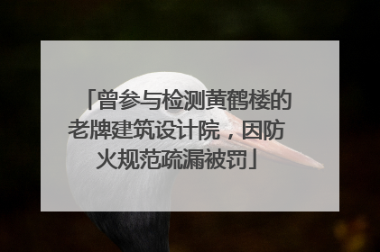 曾参与检测黄鹤楼的老牌建筑设计院，因防火规范疏漏被罚