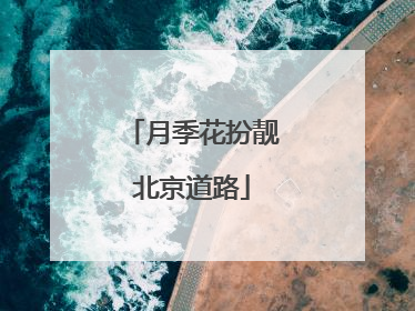 月季花扮靓北京道路